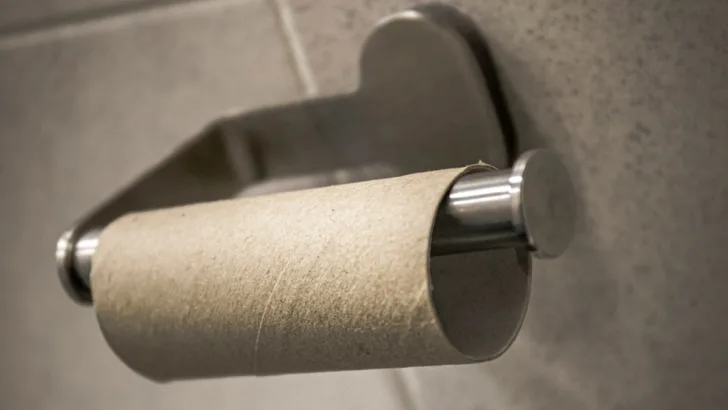 Toilet Paper Tube