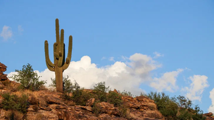 Largest hot desert in North America