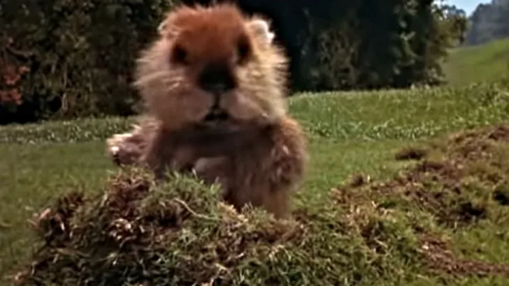 Caddyshack