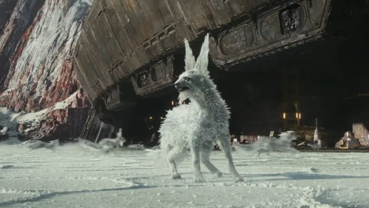 Vulptices