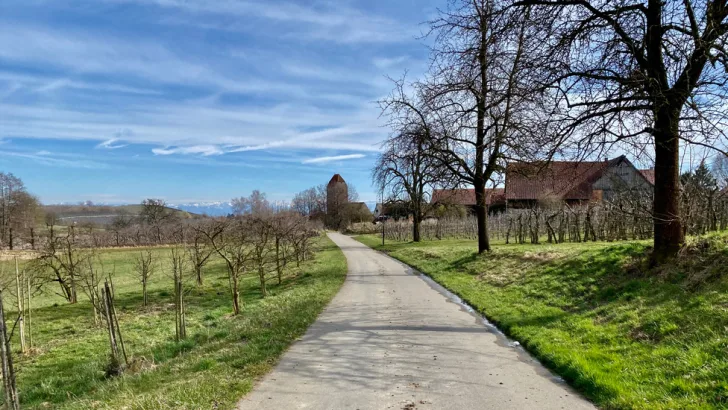 Countryside