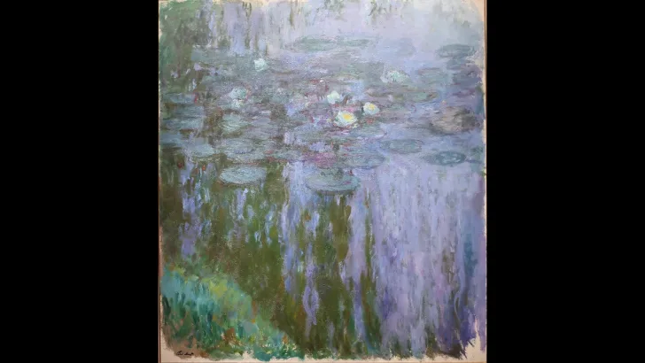 Water Lilies
