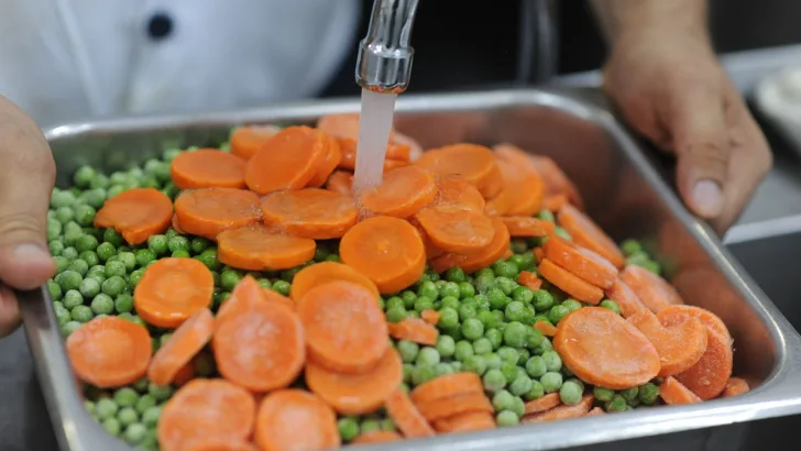 Frozen Food