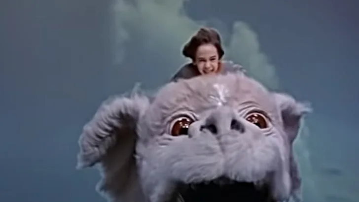 Falkor describe himself