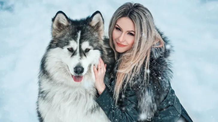 Pet