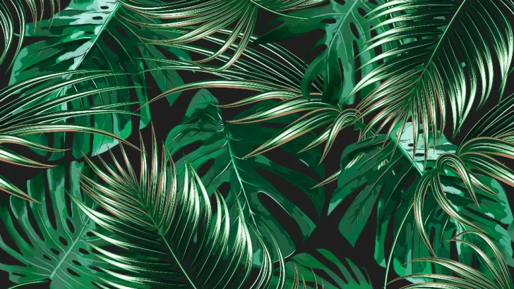 Can You Identify These Trees From Their Leaves?