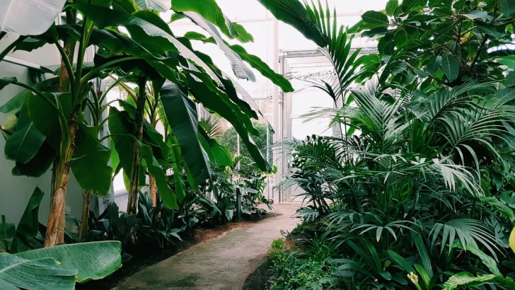 Can you name all these plants?
