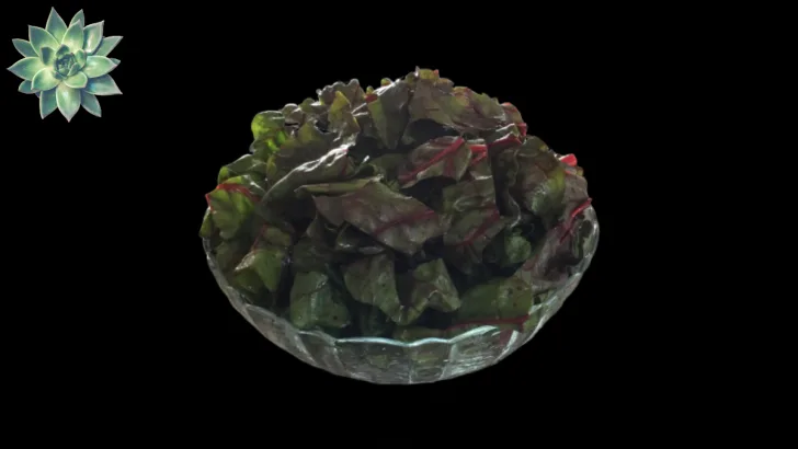 Chard Soup Ingredients