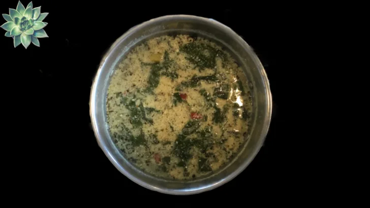 Chard soup complete