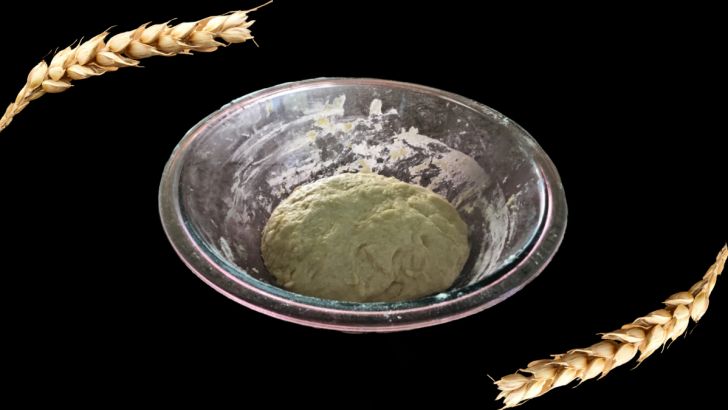 Breadstick Dough