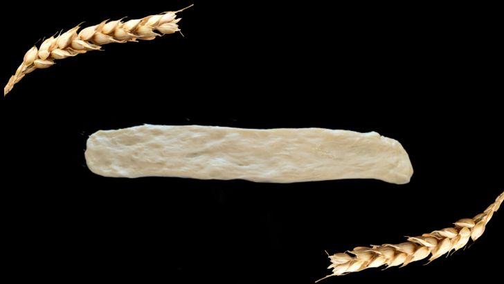 Rolled out dough breadsticks